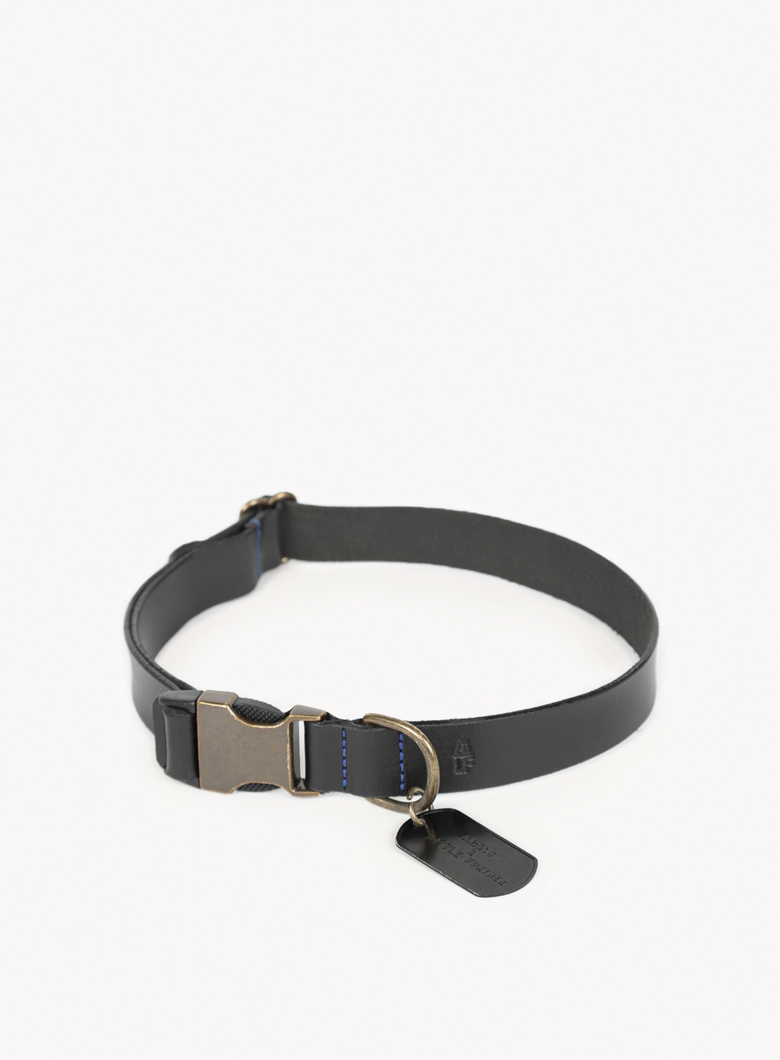 alf dog collar antique brass with tag front-view.